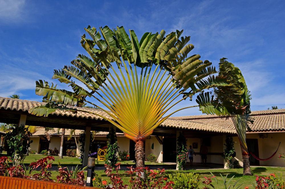 Hotel Rede Andrade Vela Branca Recife Exterior foto